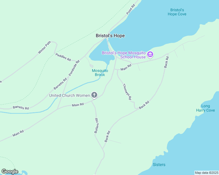 map of restaurants, bars, coffee shops, grocery stores, and more near 313 Main Road in Carbonear