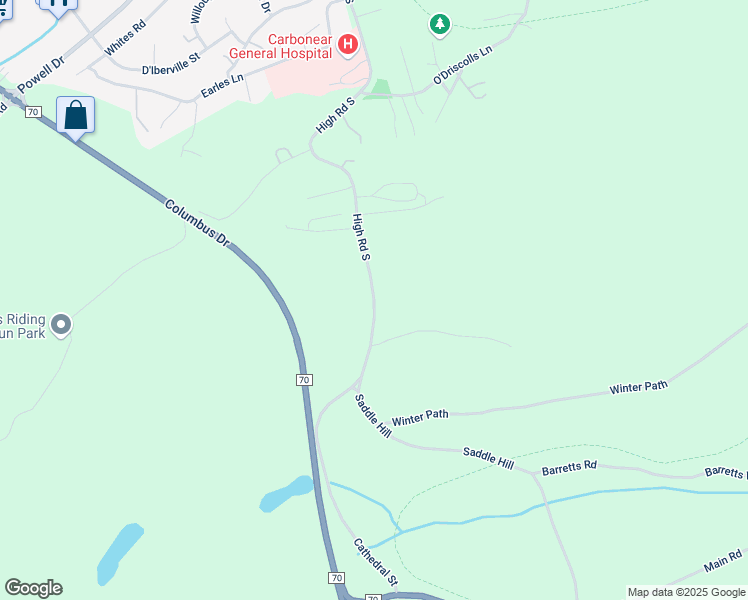map of restaurants, bars, coffee shops, grocery stores, and more near Saddle Hill in Carbonear