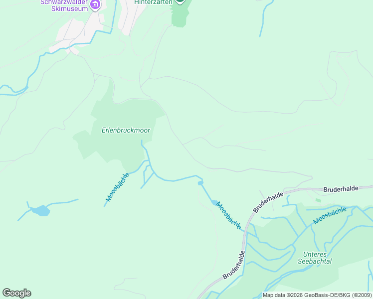 map of restaurants, bars, coffee shops, grocery stores, and more near Erlenbruck in Hinterzarten