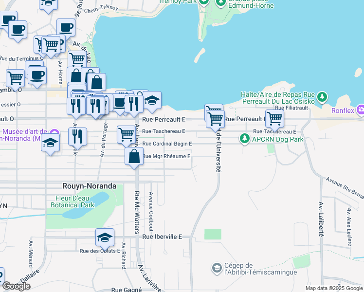 310 Rue Cardinal Bégin Est, RouynNoranda QC Walk Score