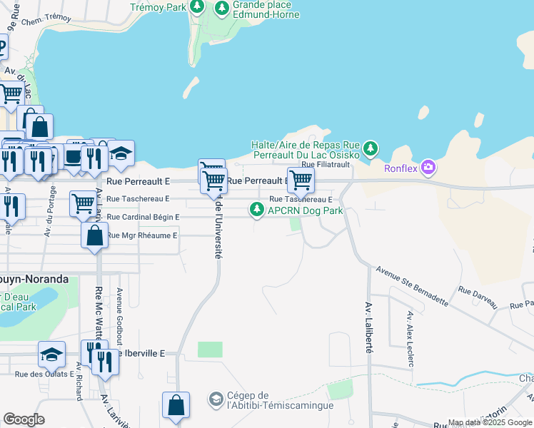 507 Rue Cardinal Bégin Est, RouynNoranda QC Walk Score