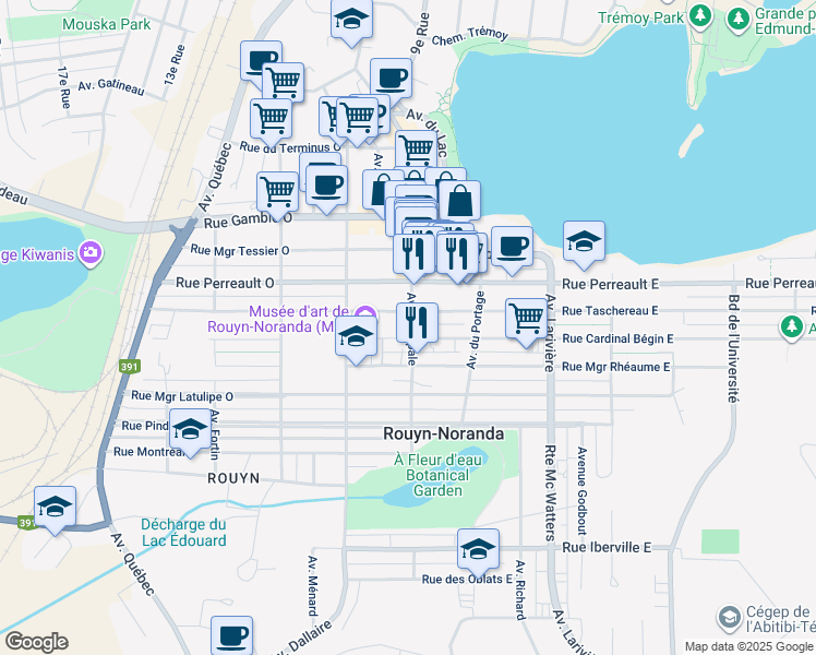 212 Avenue Principale, RouynNoranda QC Walk Score