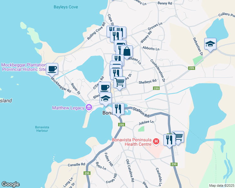 map of restaurants, bars, coffee shops, grocery stores, and more near 148 Coster Street West in Bonavista