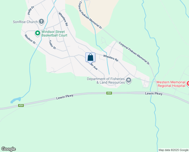 map of restaurants, bars, coffee shops, grocery stores, and more near Pratt Street in Corner Brook