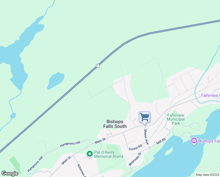 map of restaurants, bars, coffee shops, grocery stores, and more near 40 Newtown Road in Bishop's Falls