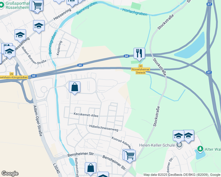 map of restaurants, bars, coffee shops, grocery stores, and more near Karl-Landsteiner-Ring in Rüsselsheim am Main