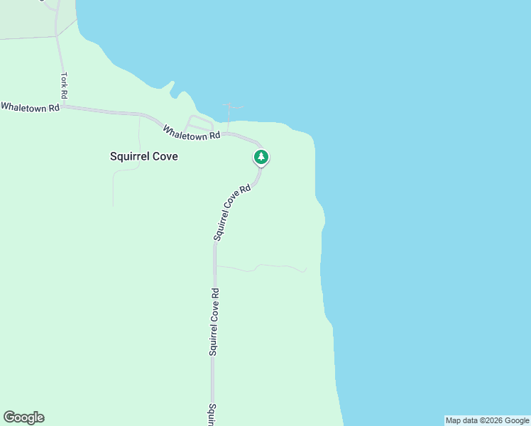 map of restaurants, bars, coffee shops, grocery stores, and more near 1572 Squirrel Cove Road in Squirrel Cove