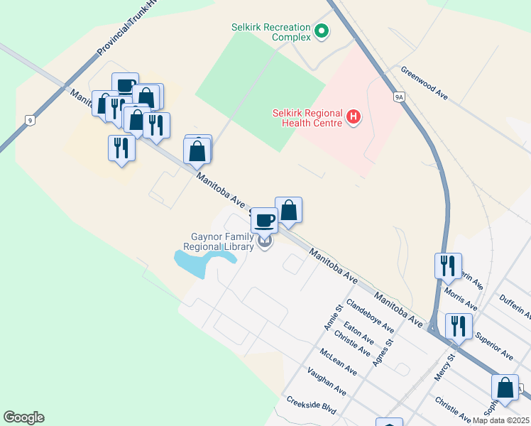 map of restaurants, bars, coffee shops, grocery stores, and more near in Selkirk