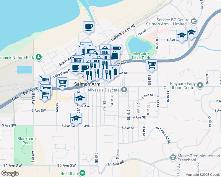 390 Okanagan Avenue East, Salmon Arm BC Walk Score