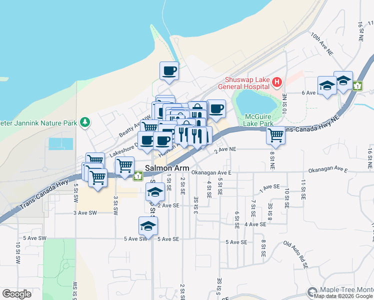 map of restaurants, bars, coffee shops, grocery stores, and more near 231a Alexander Street Northeast in Salmon Arm