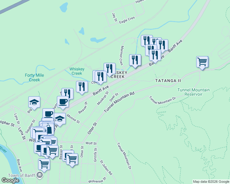 map of restaurants, bars, coffee shops, grocery stores, and more near 503 Deer Street in Banff