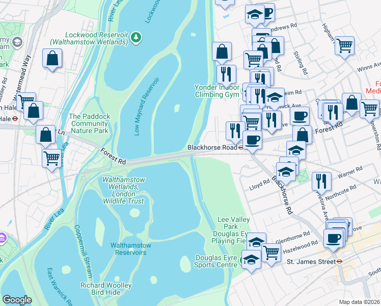 map of restaurants, bars, coffee shops, grocery stores, and more near Forest Road in Greater London