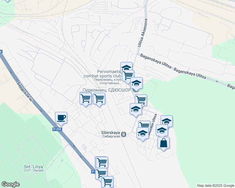 map of restaurants, bars, coffee shops, grocery stores, and more near 8 Basseynyy pereulok in Novosibirsk