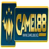camel88biz