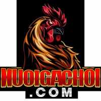 nuoigachoicom