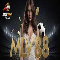 CEO MLV88
