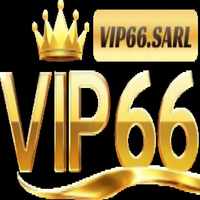 Vip66 sarl