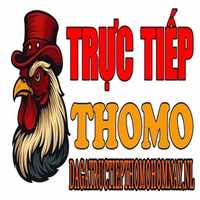 dagatructiepthomohomnaynl1
