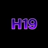 H19