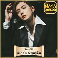 ceoaidennguyen