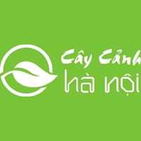 Cong Ty TNHH MTV Cay Canh Ha Noi