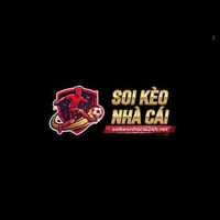 tnbdsoikeonhacai24h