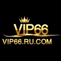 Vip66 ru com