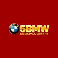 55bmwcomph1