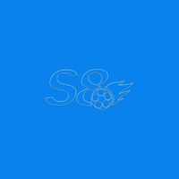 S8