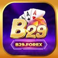 B29