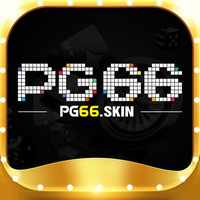pg66skin