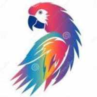 AviansCare