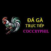 Đá Gà Cựa Dao Philippin