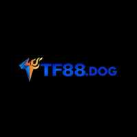 tf88dog