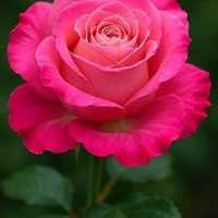 beautyfashionclub