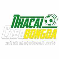 trang cá độ bóng đá
