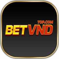 betvndtopcom