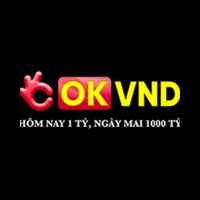 Okvnd3t cn com