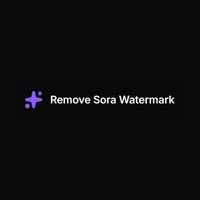 Remove Sora Watermark