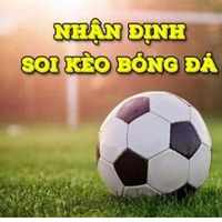 nhandinhbayernonline
