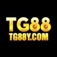 tg88y com