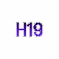 H19 