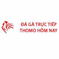 Đá Gà Trực Tiếp Thomo Hôm Nay