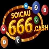 Trangchu soicau666