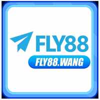 fly88wang