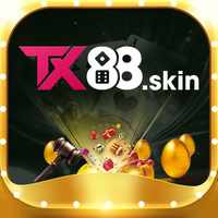 tx88skin