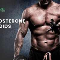steroidstore