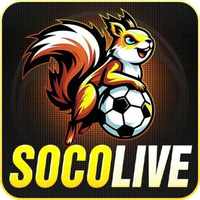 socolive10cc