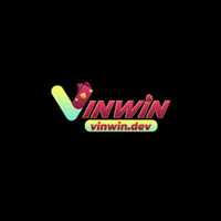 VINWIN